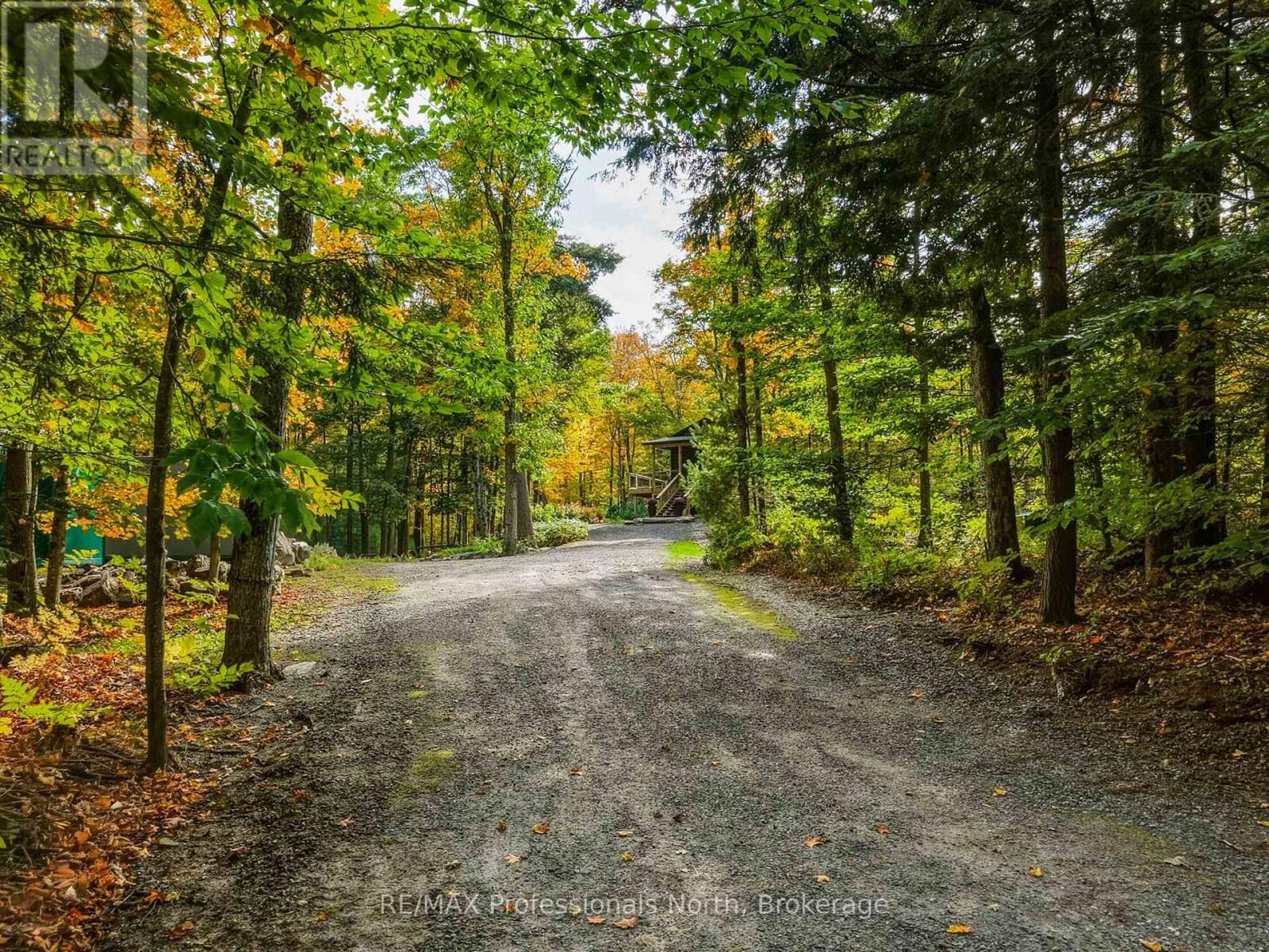 1266 North Shore Road, Muskoka Lakes, Ontario P0B 1M0 - Photo 4 - X14085882