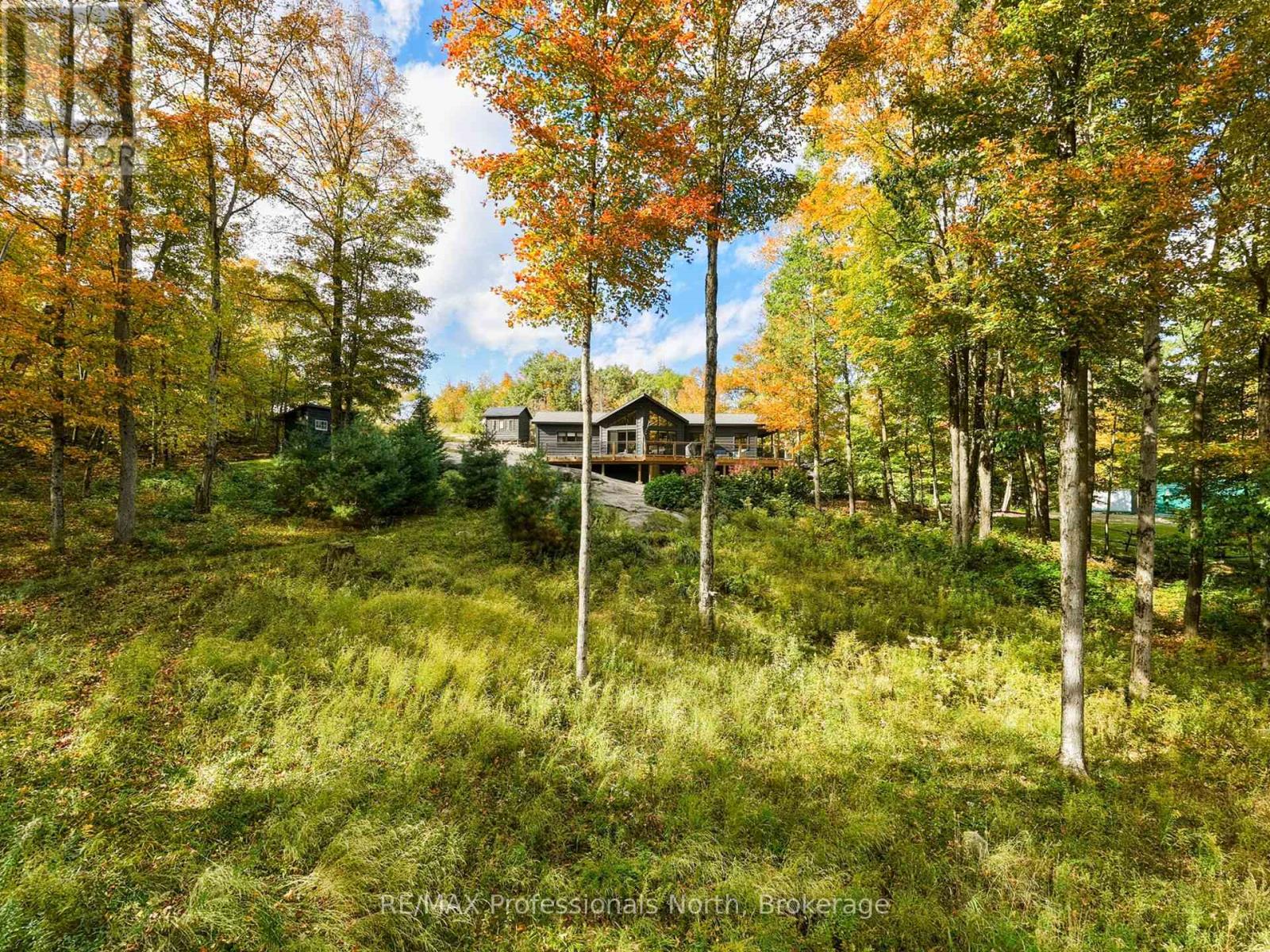 1266 North Shore Road, Muskoka Lakes, Ontario P0B 1M0 - Photo 47 - X14085882