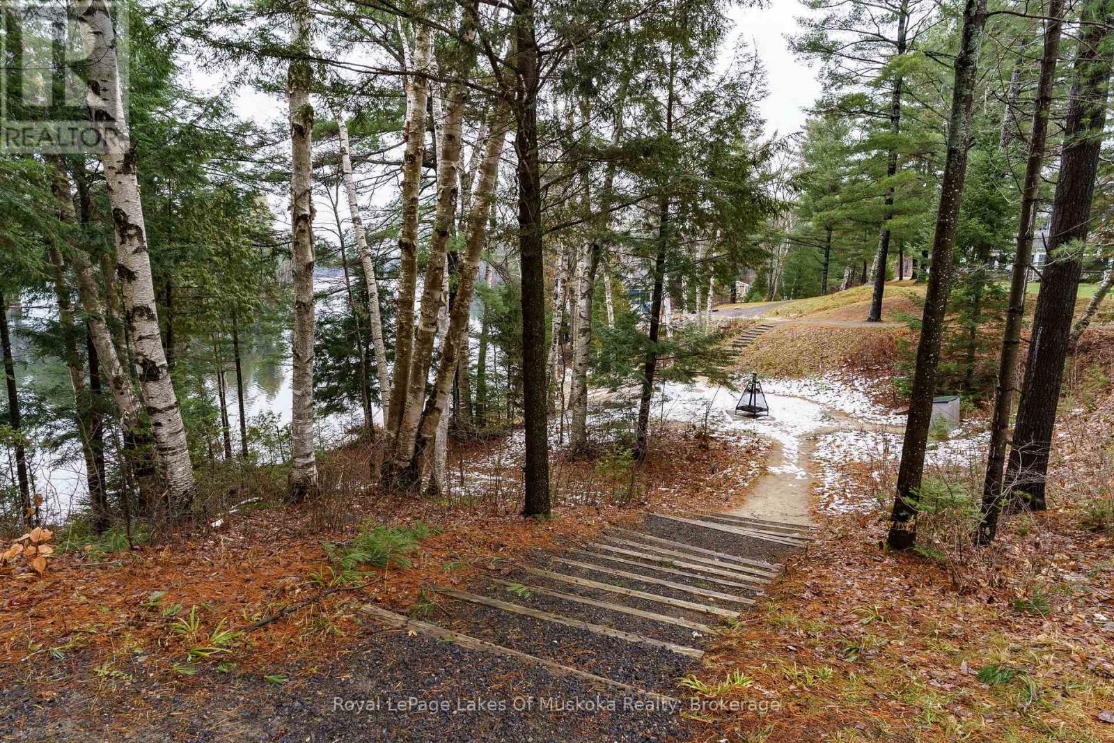 V  3, W 5 - 1020 Birch Glen Road, Lake Of Bays, Ontario  P0B 1A0 - Photo 32 - X14087224