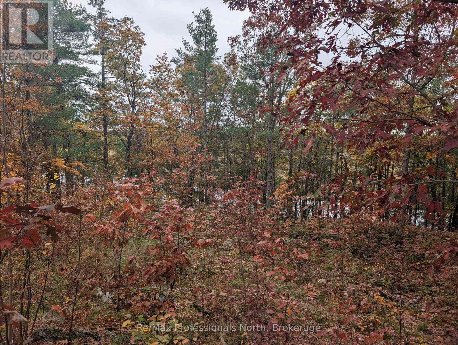 0 Ridge Road, Muskoka Lakes, Ontario P0C 1M0 - Photo 10 - X14087644