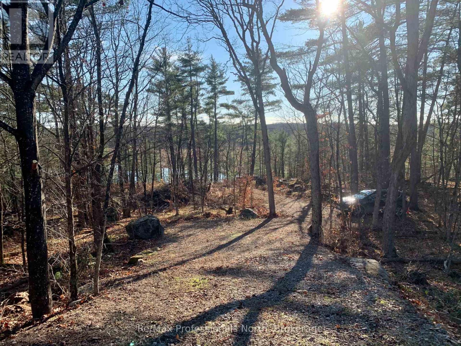 0 Ridge Road, Muskoka Lakes, Ontario P0C 1M0 - Photo 14 - X14087644