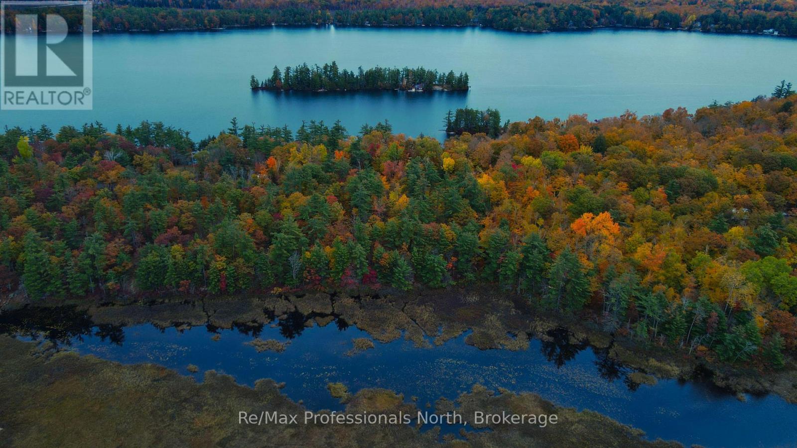 0 Ridge Road, Muskoka Lakes, Ontario P0C 1M0 - Photo 2 - X14087644