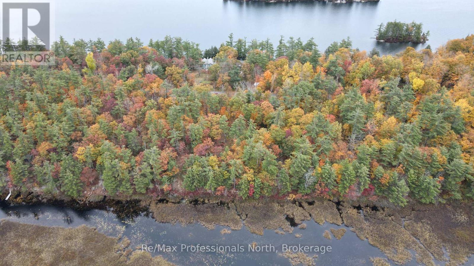 0 Ridge Road, Muskoka Lakes, Ontario P0C 1M0 - Photo 4 - X14087644