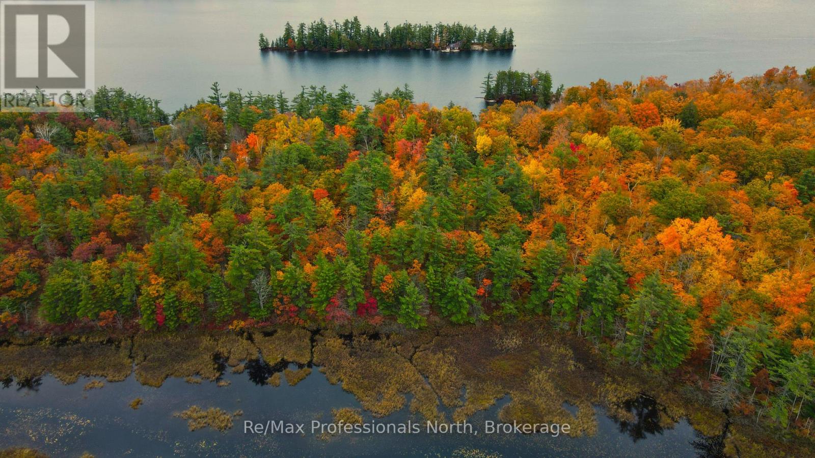0 Ridge Road, Muskoka Lakes, Ontario P0C 1M0 - Photo 5 - X14087644