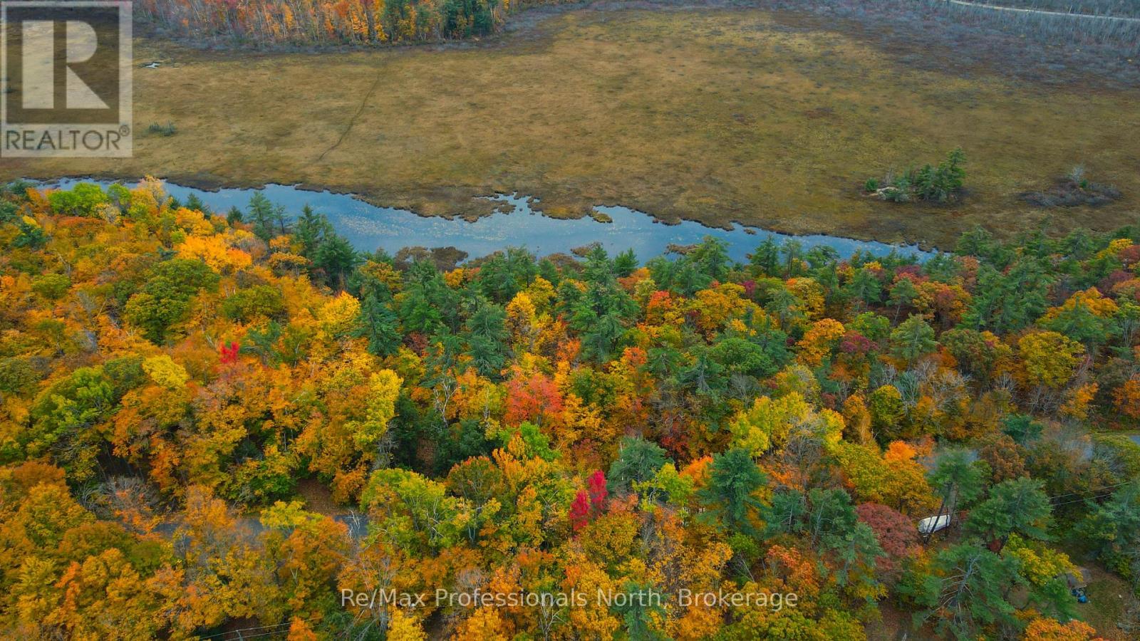 0 Ridge Road, Muskoka Lakes, Ontario P0C 1M0 - Photo 6 - X14087644