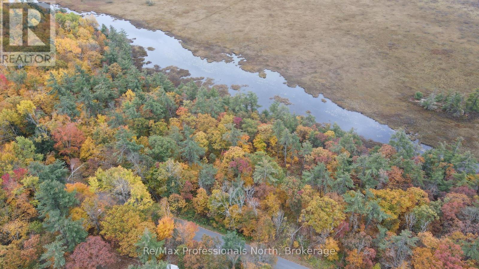 0 Ridge Road, Muskoka Lakes, Ontario P0C 1M0 - Photo 7 - X14087644