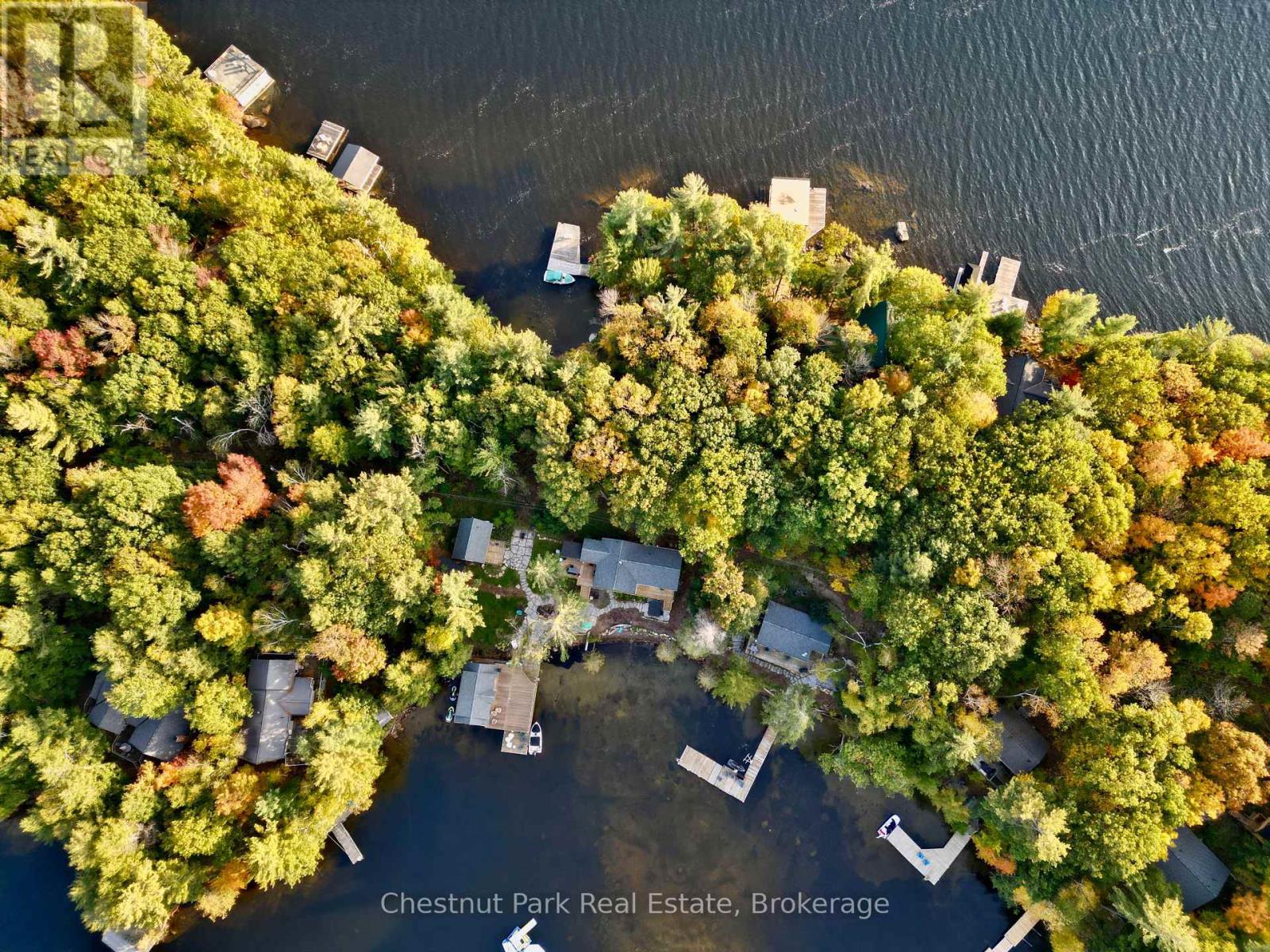 76 Birch Island, Bracebridge, Ontario  P1L 1W8 - Photo 5 - X14087886