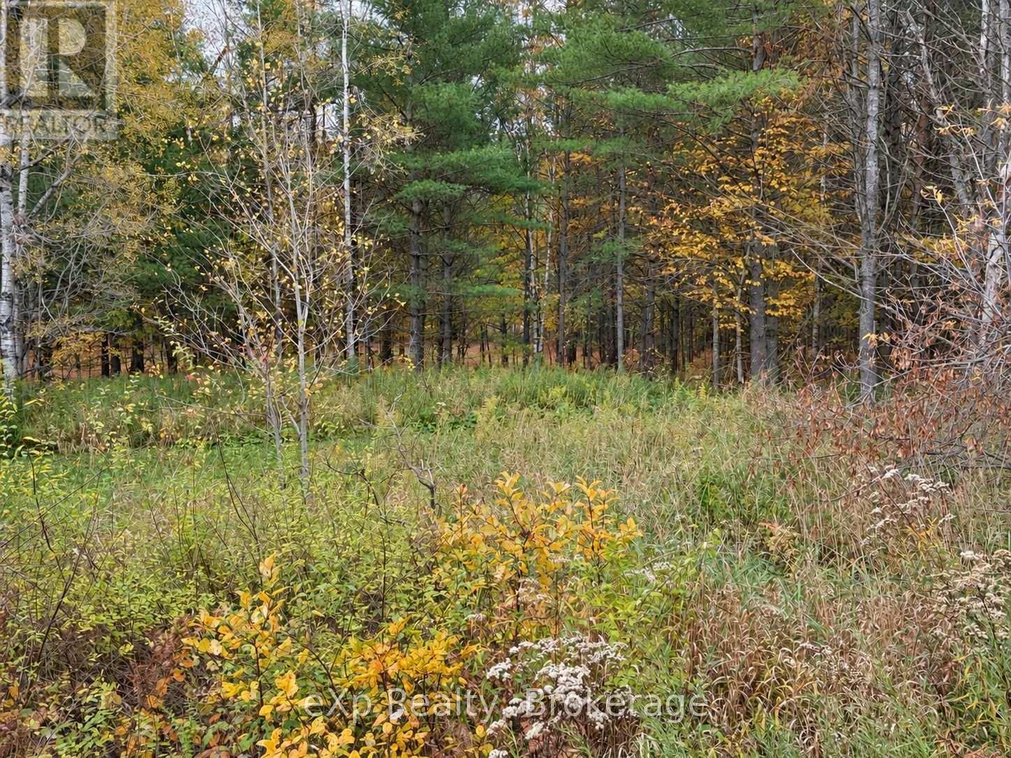1003 Silver Lake Road, Gravenhurst, Ontario P1P 0G3 - Photo 5 - X14089600