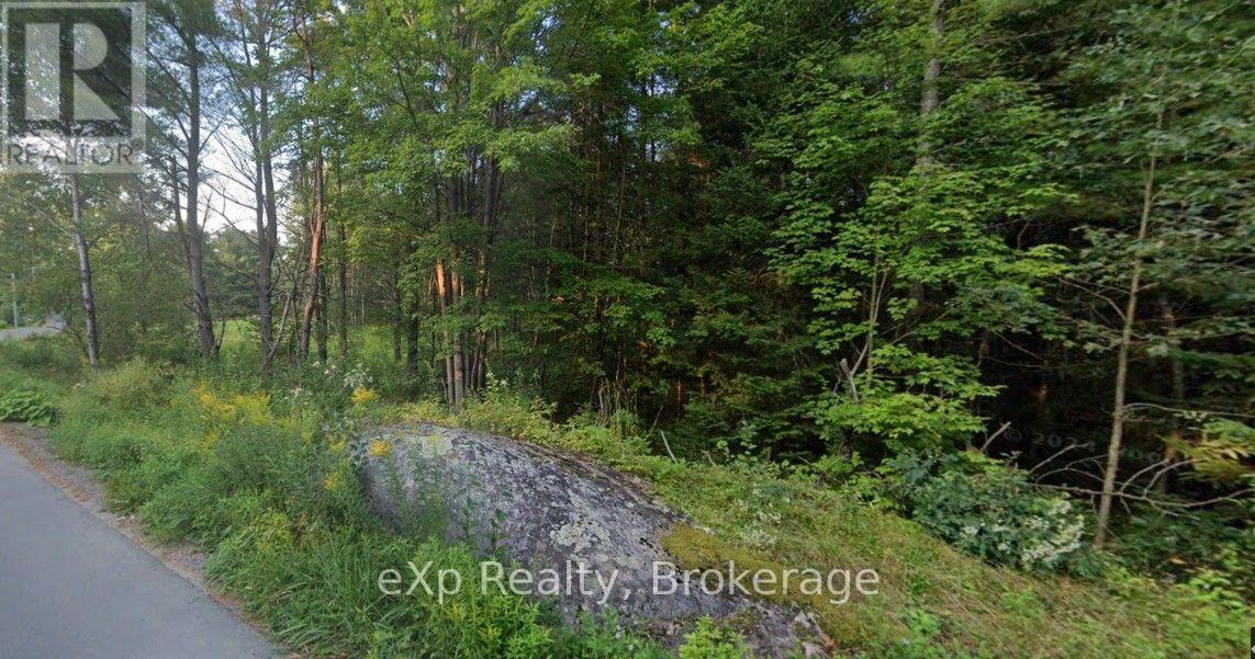 1003 Silver Lake Road, Gravenhurst, Ontario P1P 0G3 - Photo 6 - X14089600
