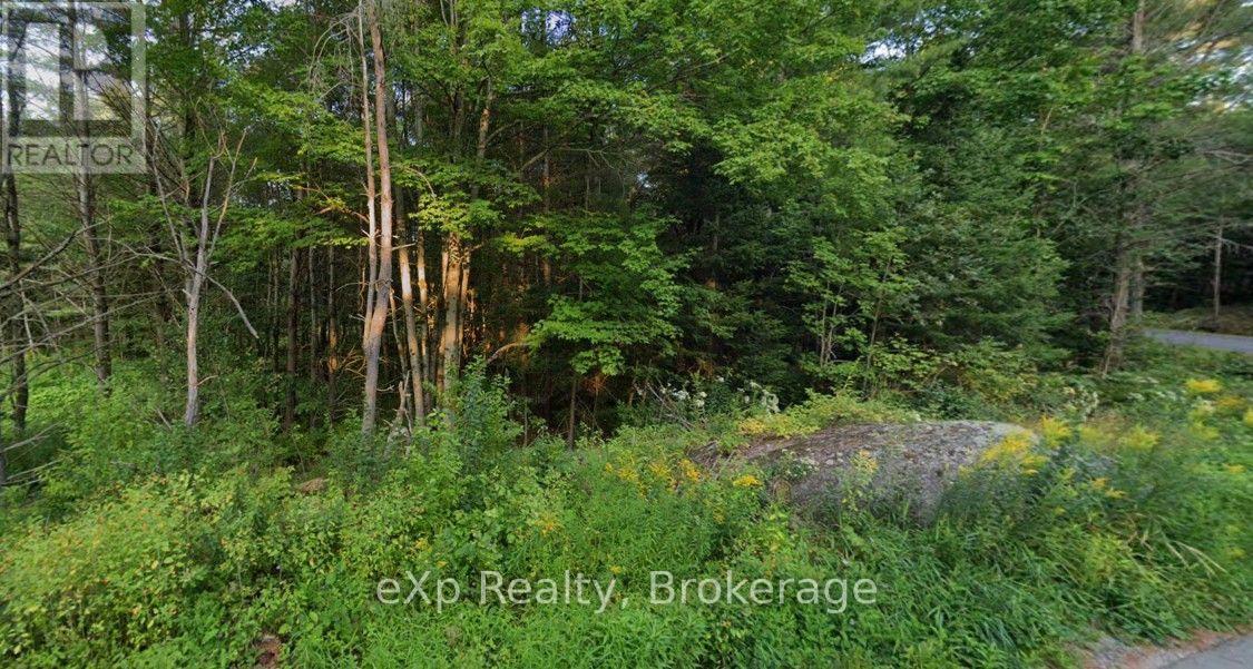 1003 Silver Lake Road, Gravenhurst, Ontario P1P 0G3 - Photo 7 - X14089600