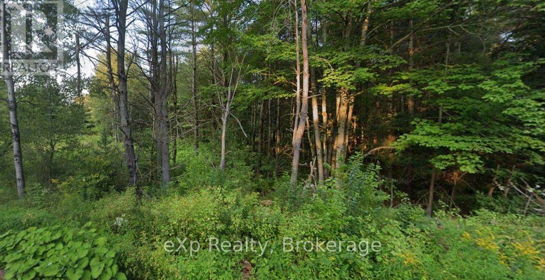 1003 Silver Lake Road, Gravenhurst, Ontario P1P 0G3 - Photo 8 - X14089600