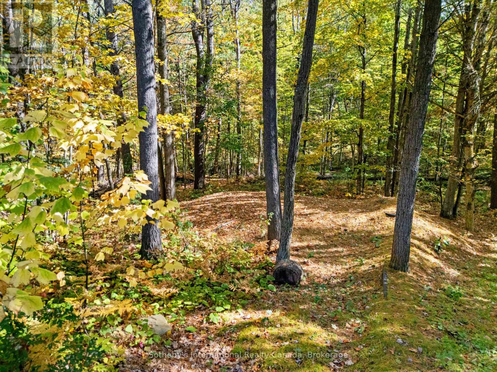 334 Musquosh River Shr, Georgian Bay, Ontario  P0C 1H0 - Photo 20 - X14093050