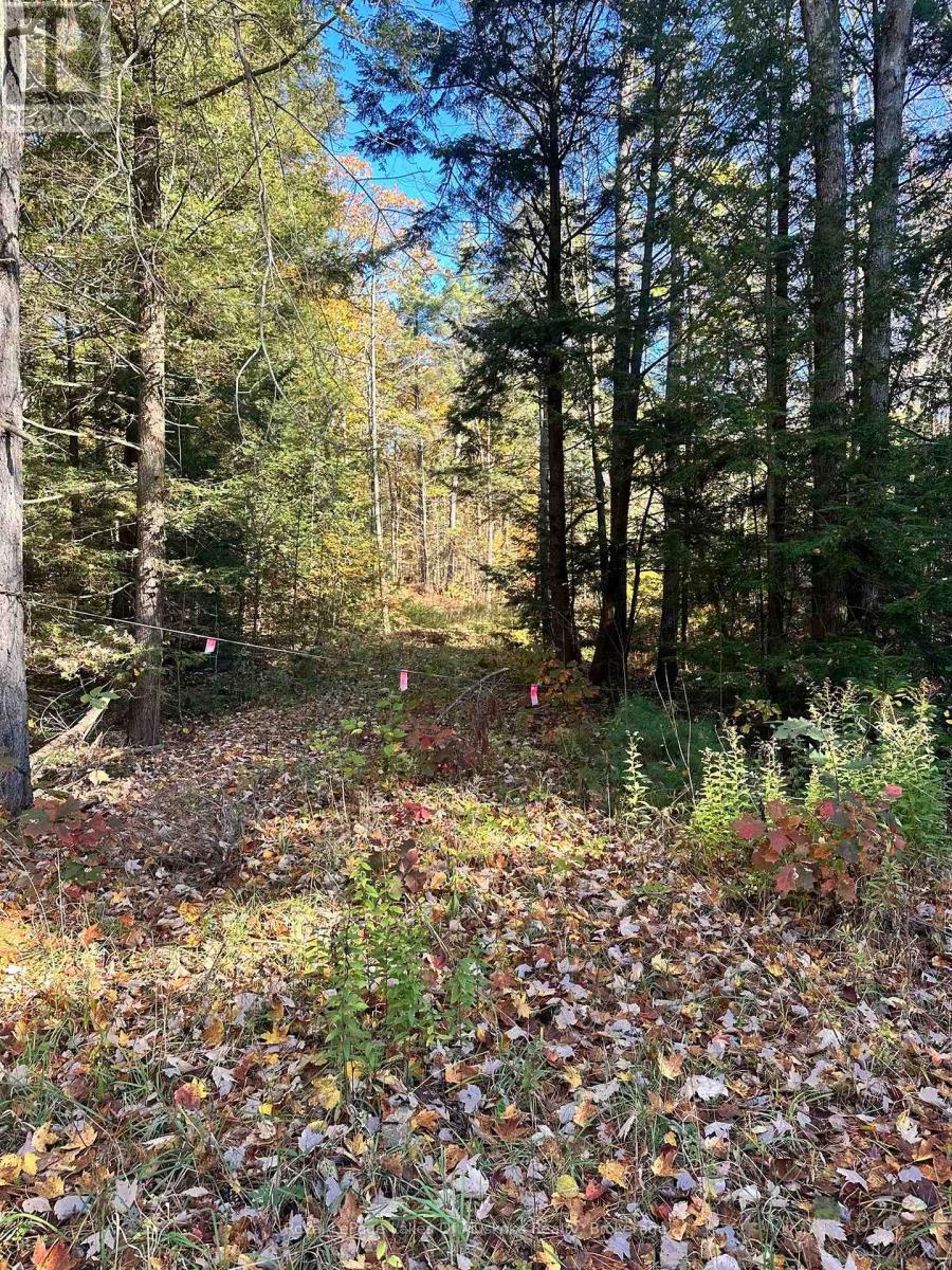 1101 Doe Lake Road, Gravenhurst, Ontario P1P 1R3 - Photo 1 - X14093092