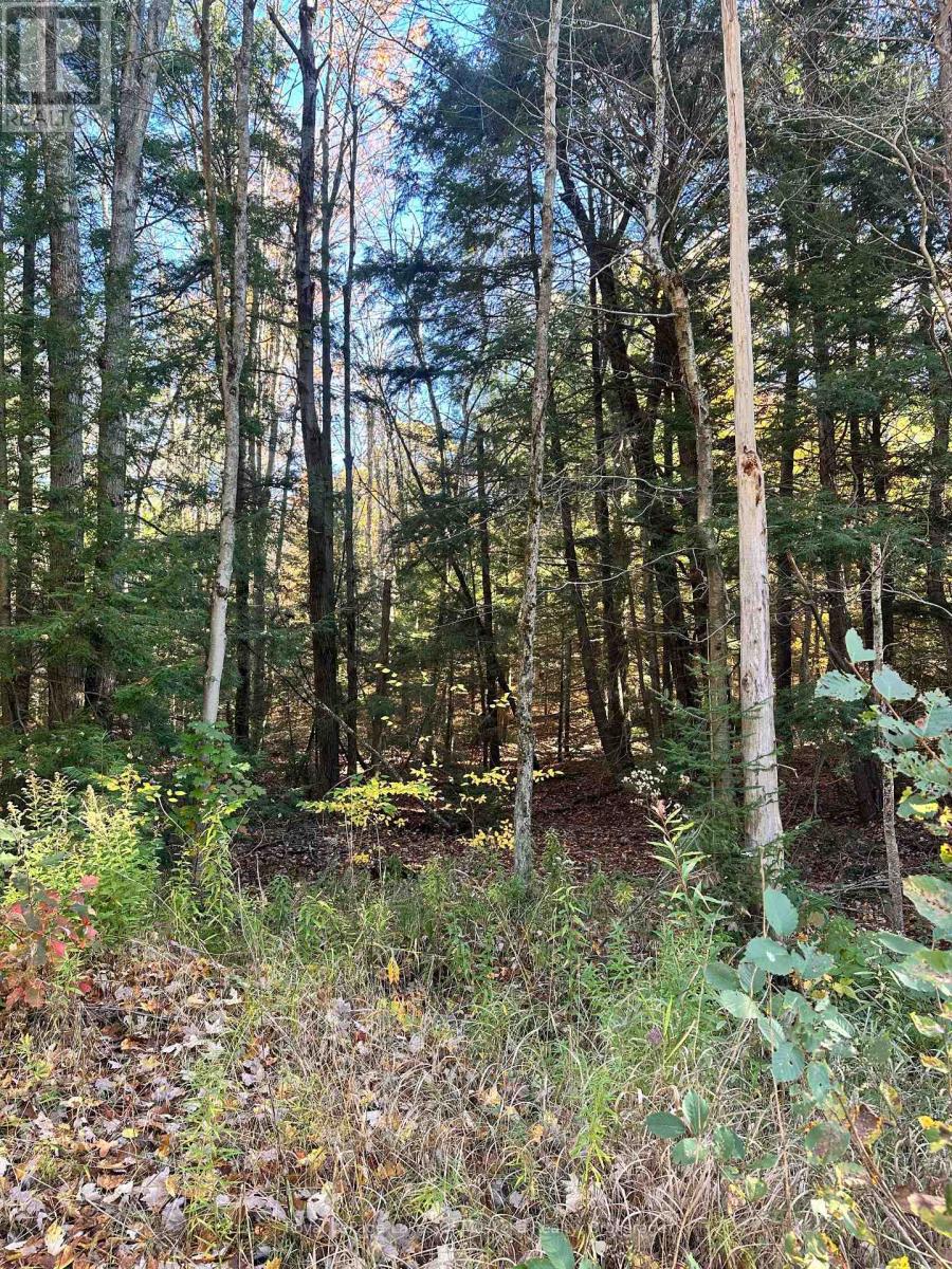 1101 Doe Lake Road, Gravenhurst, Ontario P1P 1R3 - Photo 2 - X14093092