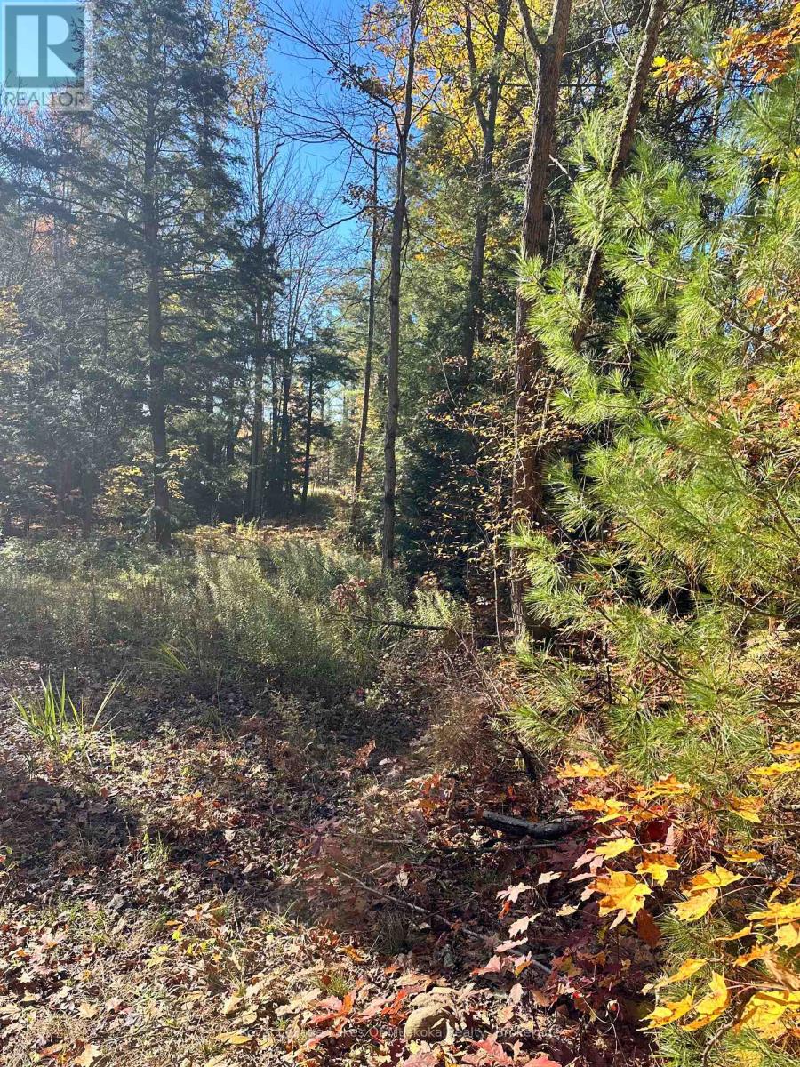 1101 Doe Lake Road, Gravenhurst, Ontario P1P 1R3 - Photo 7 - X14093092