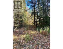 1101 DOE LAKE ROAD, Gravenhurst, Ontario