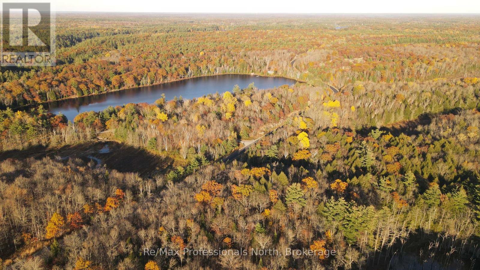 00 Muskoka Rd 38 Road, Muskoka Lakes, Ontario  P0C 1A0 - Photo 10 - X14101312