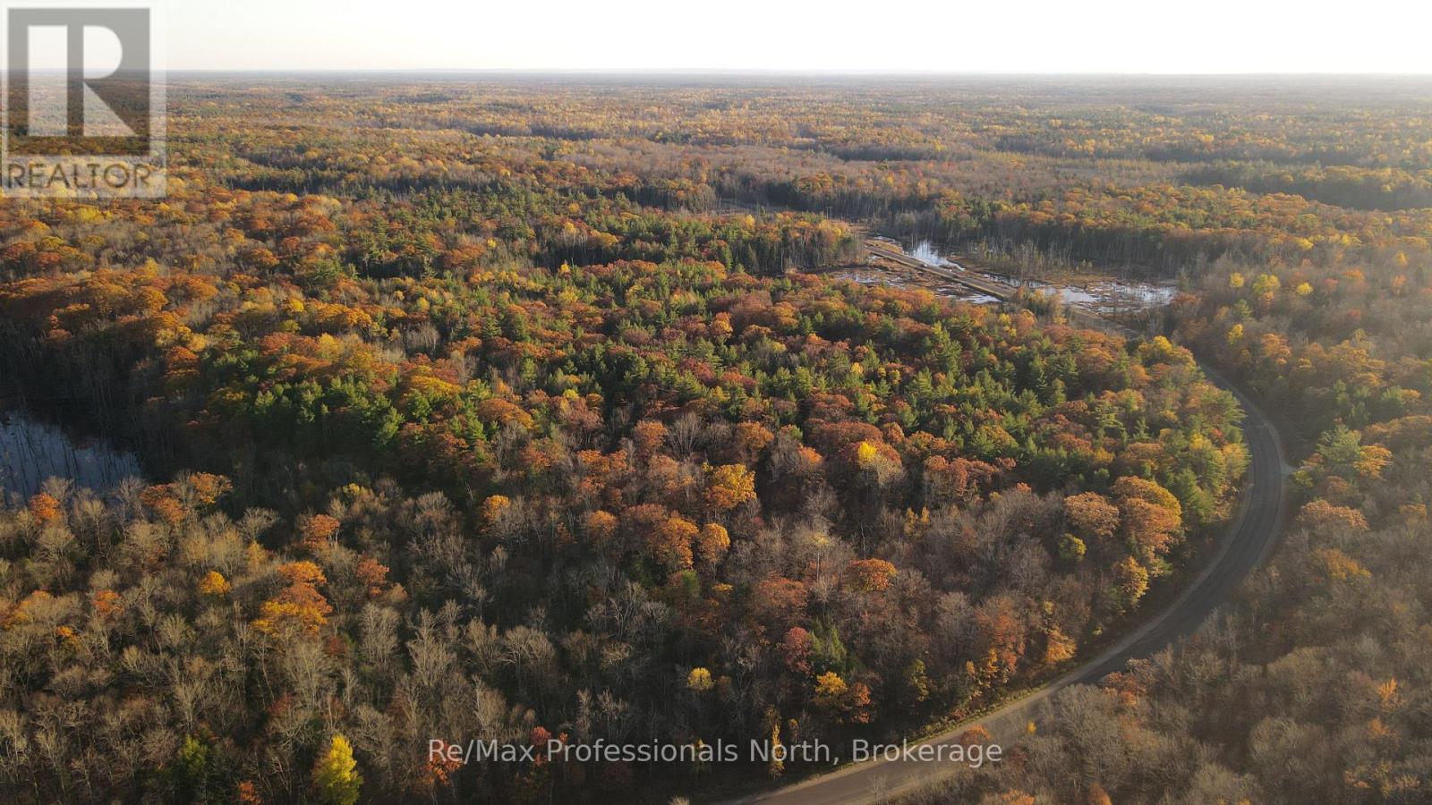 00 Muskoka Rd 38 Road, Muskoka Lakes, Ontario  P0C 1A0 - Photo 11 - X14101312