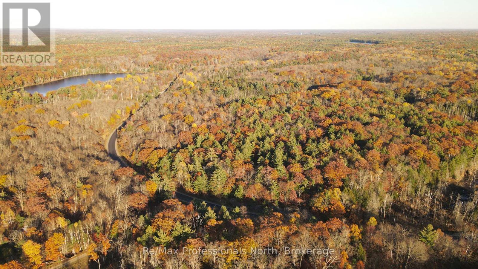 00 Muskoka Rd 38 Road, Muskoka Lakes, Ontario  P0C 1A0 - Photo 5 - X14101312