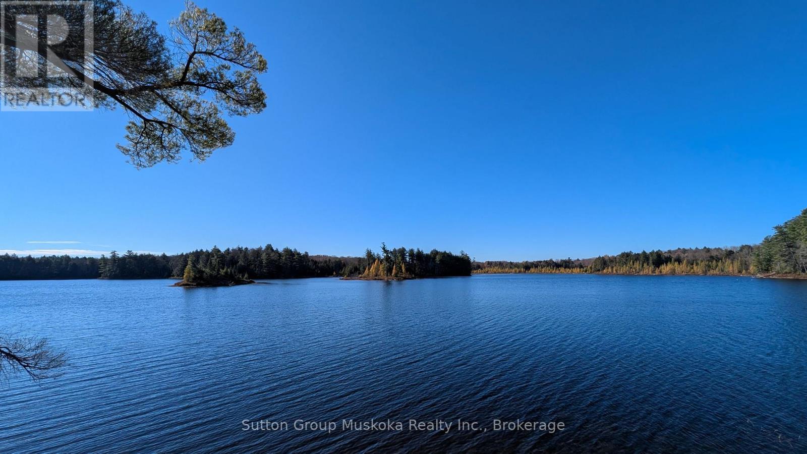 1448 Limberlost Road, Lake Of Bays, Ontario P0A 1H0 - Photo 1 - X14101818