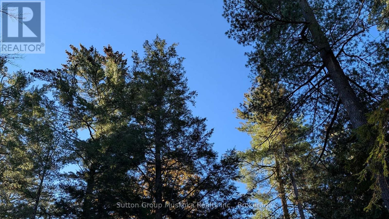 1448 Limberlost Road, Lake Of Bays, Ontario P0A 1H0 - Photo 11 - X14101818