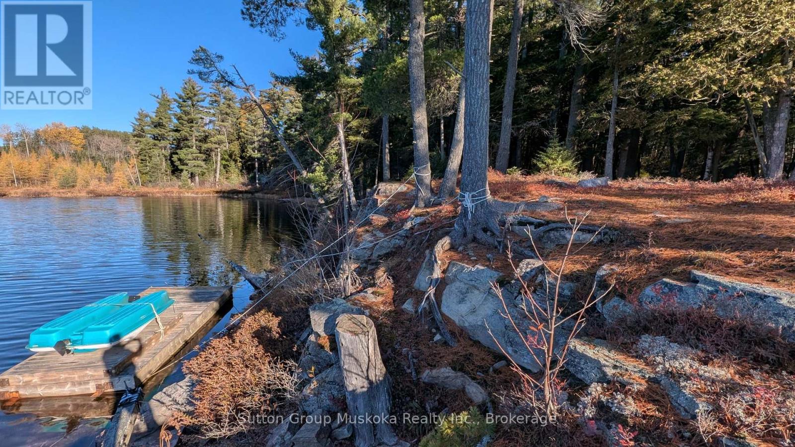 1448 Limberlost Road, Lake Of Bays, Ontario P0A 1H0 - Photo 12 - X14101818