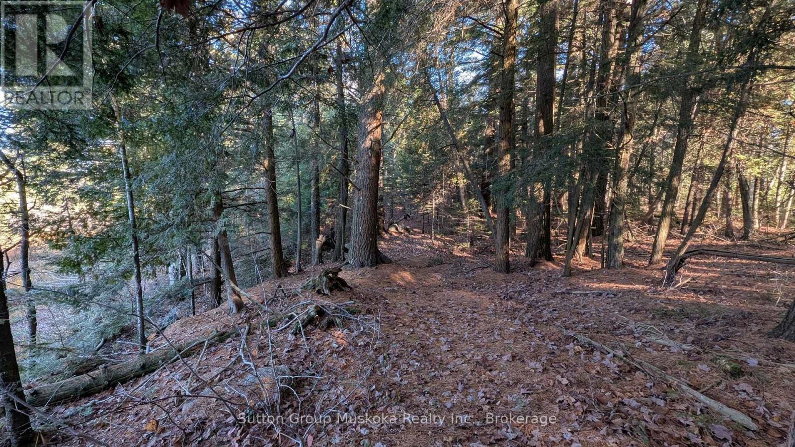 1448 Limberlost Road, Lake Of Bays, Ontario P0A 1H0 - Photo 14 - X14101818