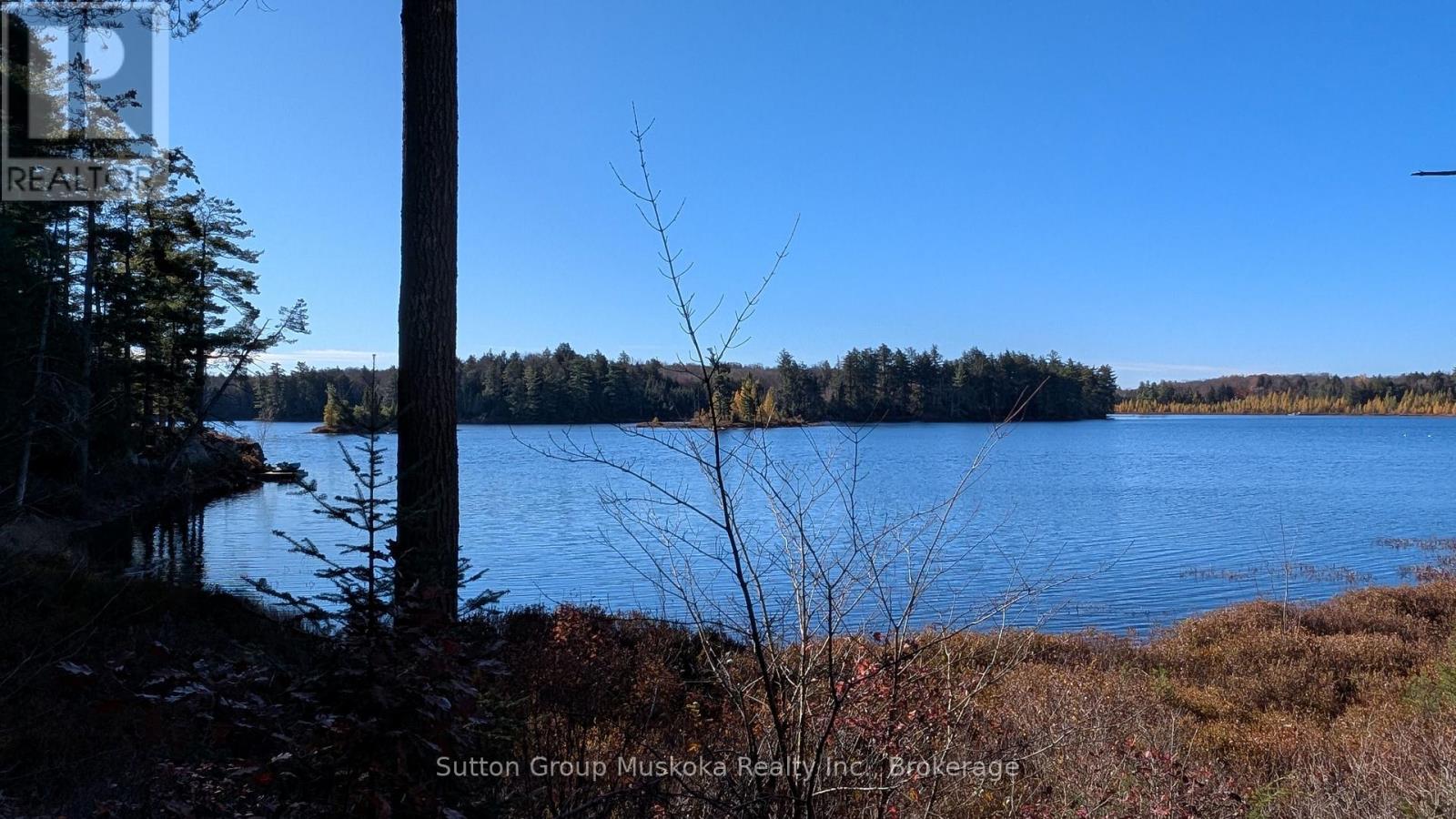 1448 Limberlost Road, Lake Of Bays, Ontario P0A 1H0 - Photo 16 - X14101818