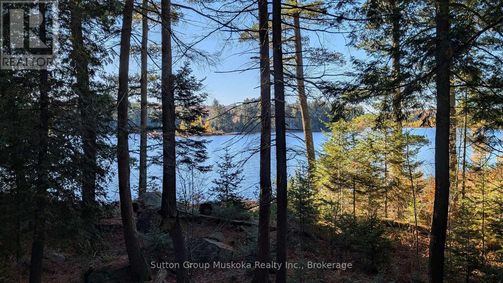 1448 Limberlost Road, Lake Of Bays, Ontario P0A 1H0 - Photo 17 - X14101818