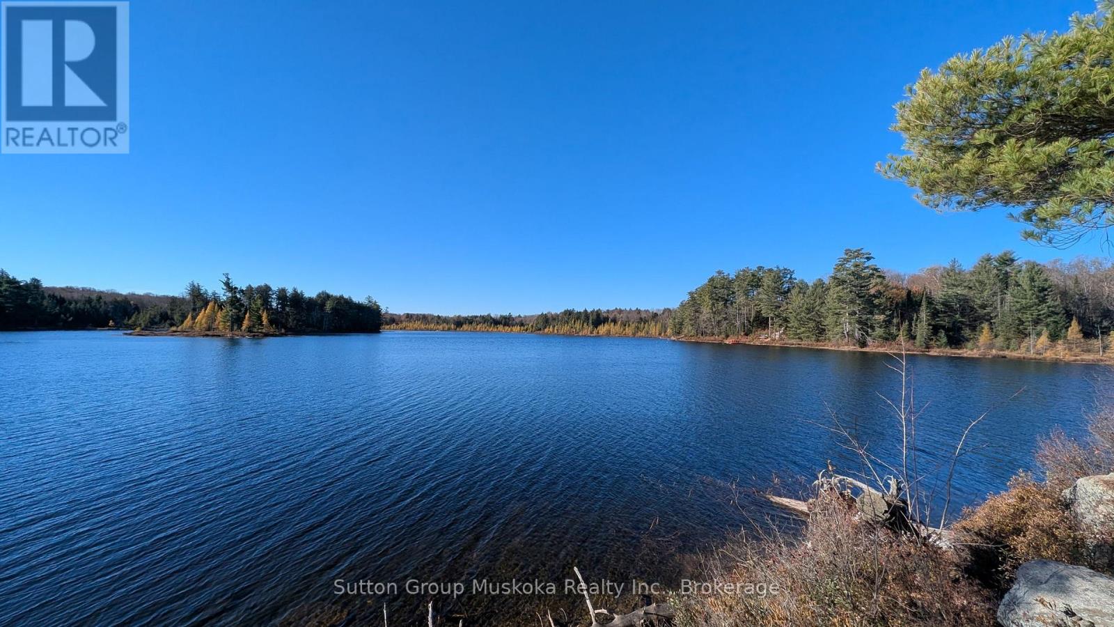 1448 Limberlost Road, Lake Of Bays, Ontario P0A 1H0 - Photo 18 - X14101818