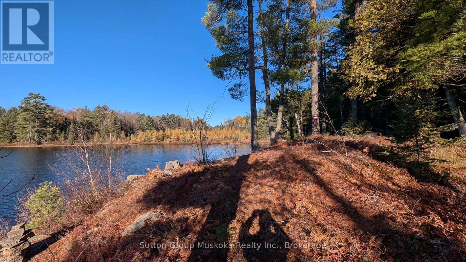 1448 Limberlost Road, Lake Of Bays, Ontario P0A 1H0 - Photo 19 - X14101818