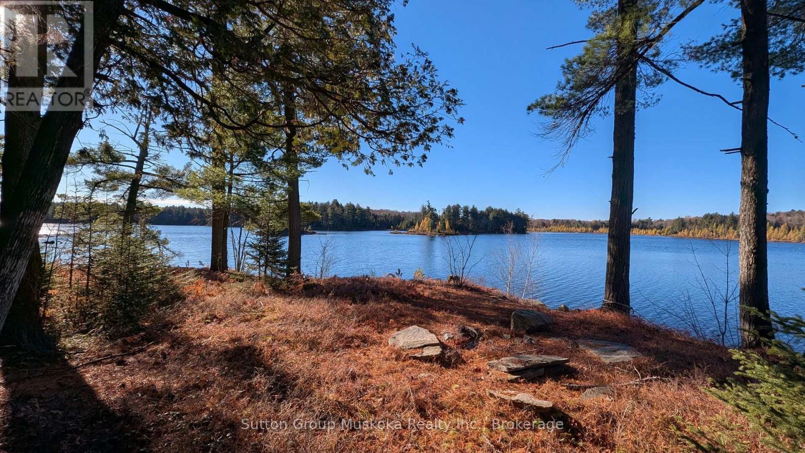 1448 Limberlost Road, Lake Of Bays, Ontario P0A 1H0 - Photo 2 - X14101818