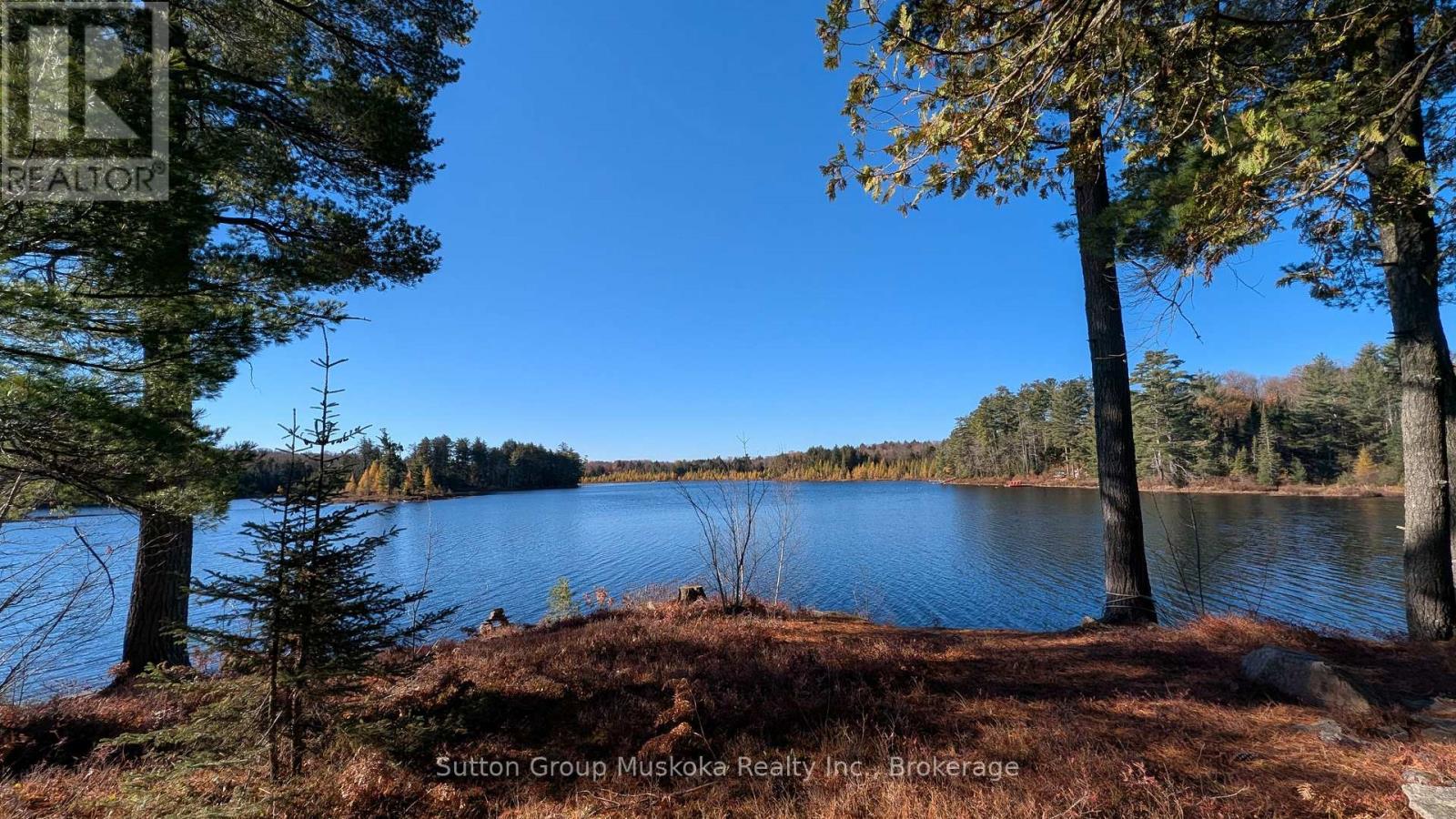 1448 Limberlost Road, Lake Of Bays, Ontario P0A 1H0 - Photo 20 - X14101818