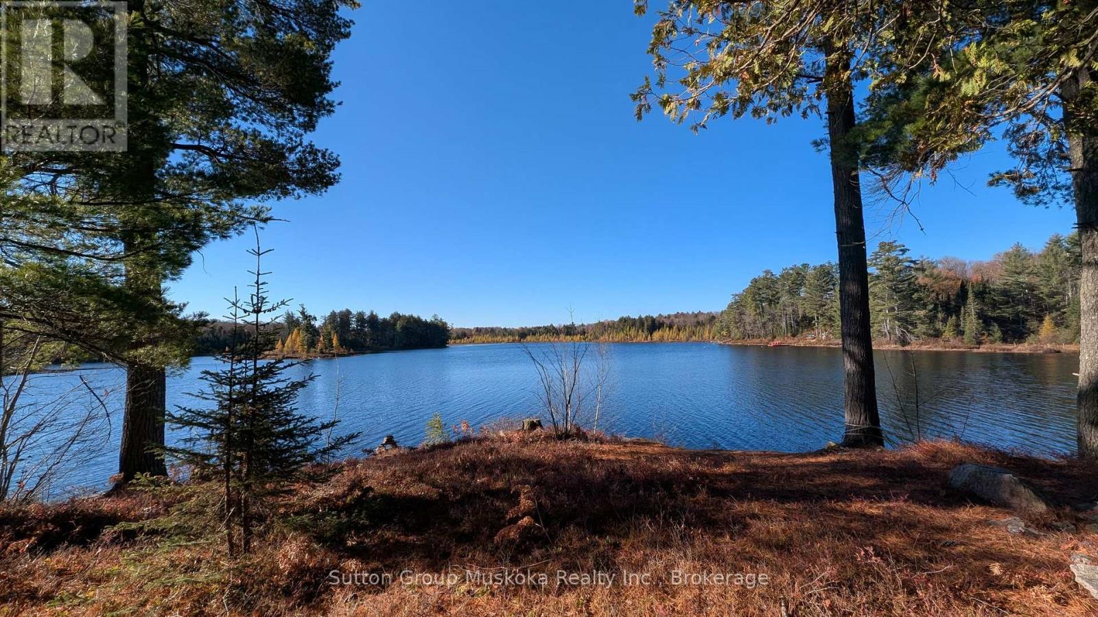 1448 Limberlost Road, Lake Of Bays, Ontario P0A 1H0 - Photo 21 - X14101818
