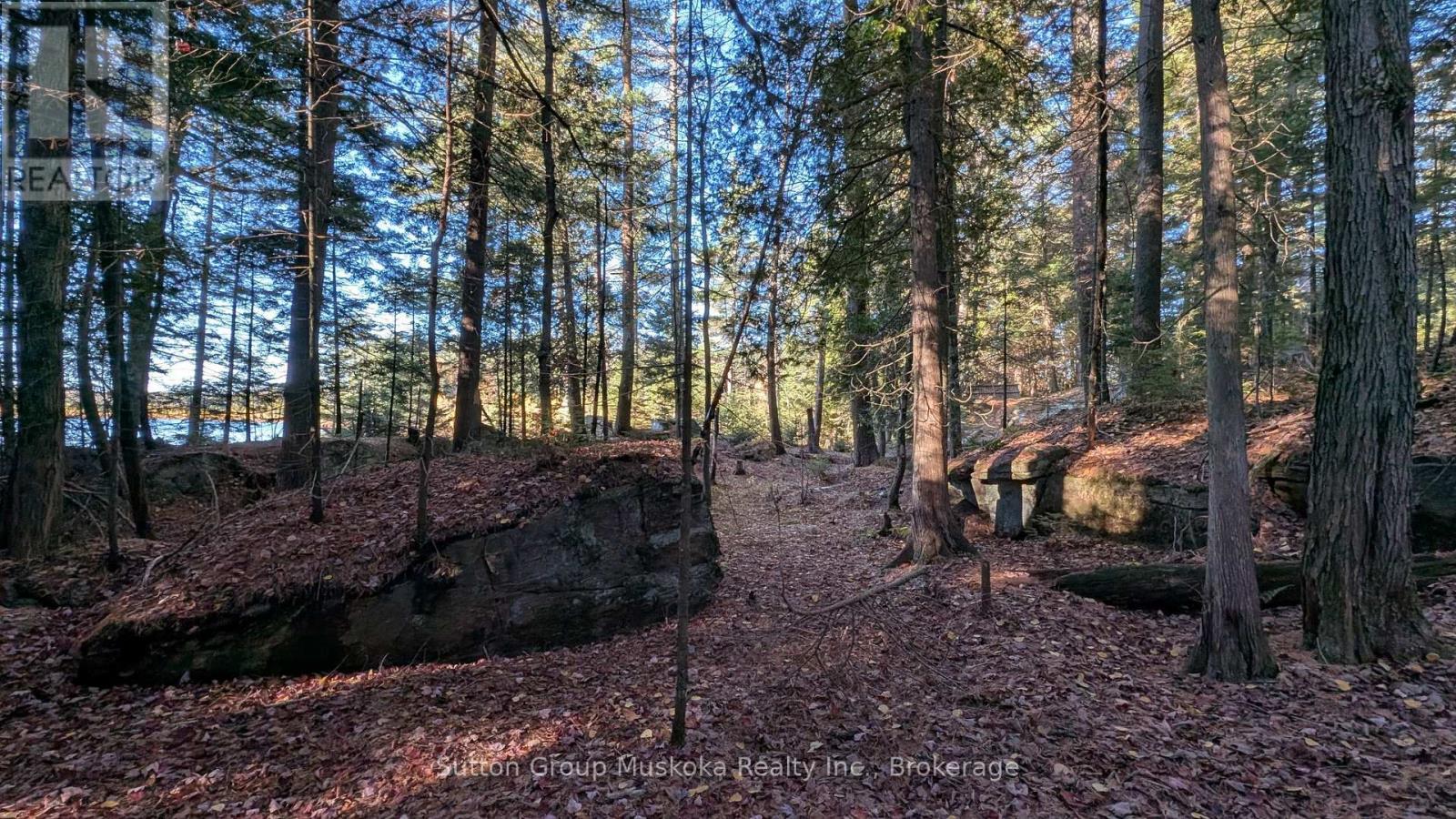 1448 Limberlost Road, Lake Of Bays, Ontario P0A 1H0 - Photo 22 - X14101818