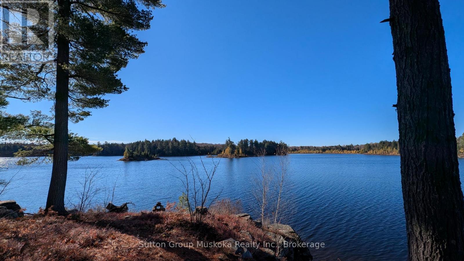1448 Limberlost Road, Lake Of Bays, Ontario P0A 1H0 - Photo 3 - X14101818