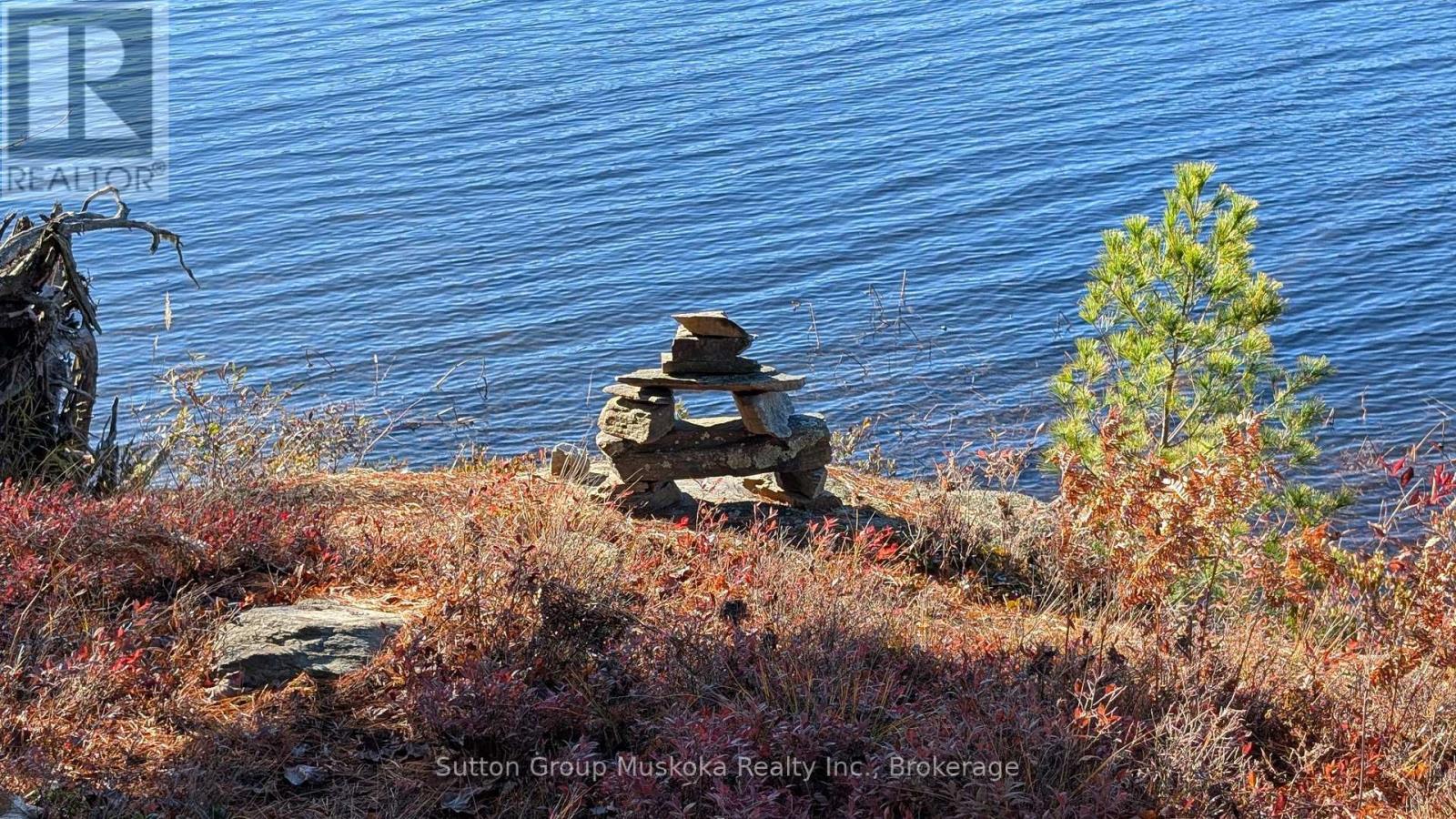 1448 Limberlost Road, Lake Of Bays, Ontario P0A 1H0 - Photo 4 - X14101818