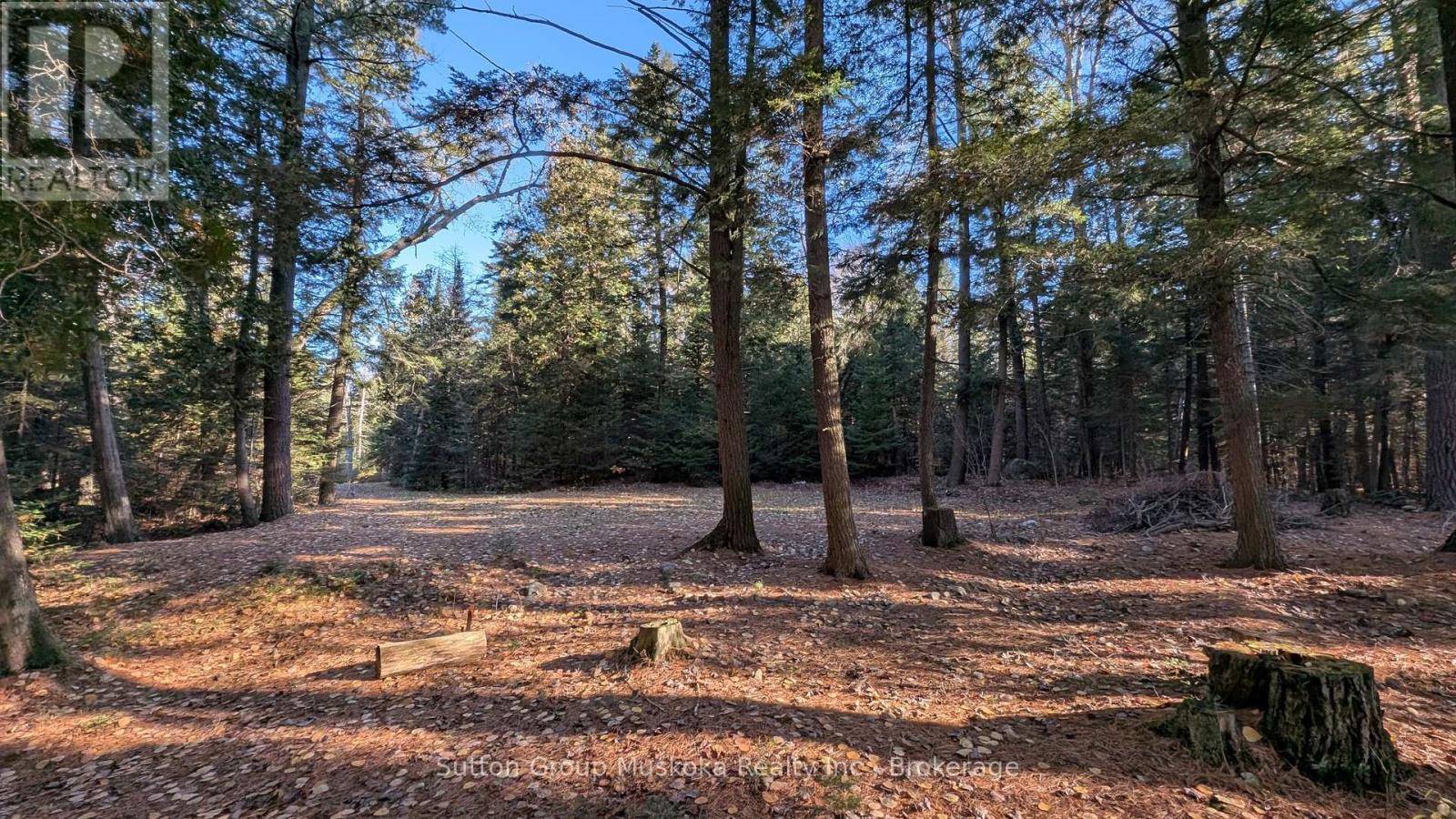 1448 Limberlost Road, Lake Of Bays, Ontario P0A 1H0 - Photo 6 - X14101818