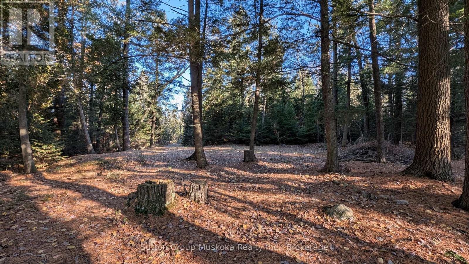 1448 Limberlost Road, Lake Of Bays, Ontario P0A 1H0 - Photo 7 - X14101818