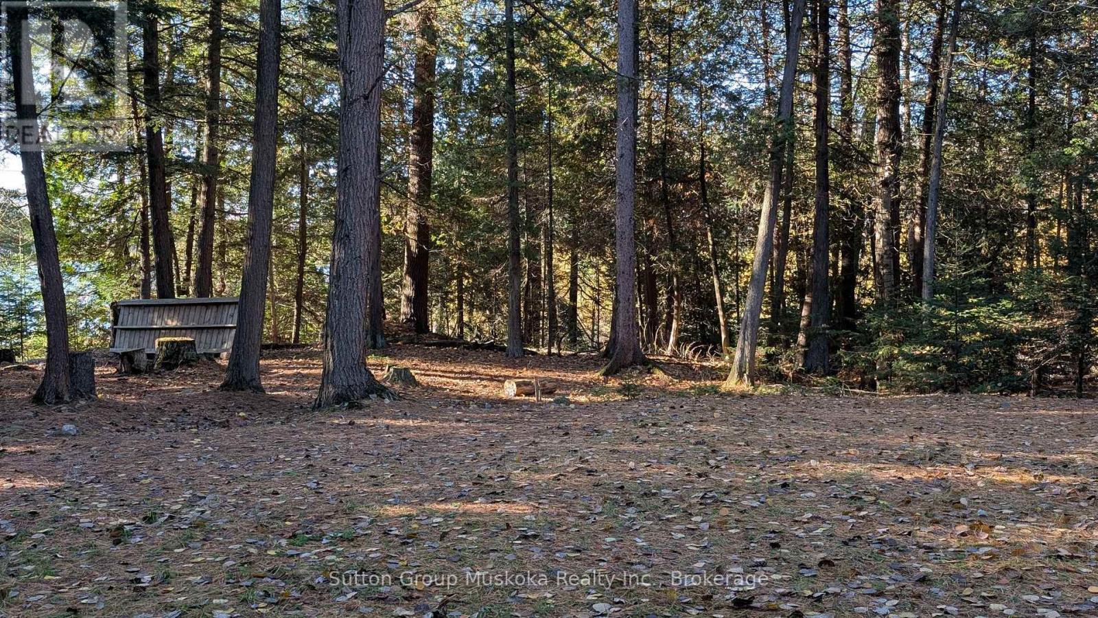 1448 Limberlost Road, Lake Of Bays, Ontario P0A 1H0 - Photo 8 - X14101818
