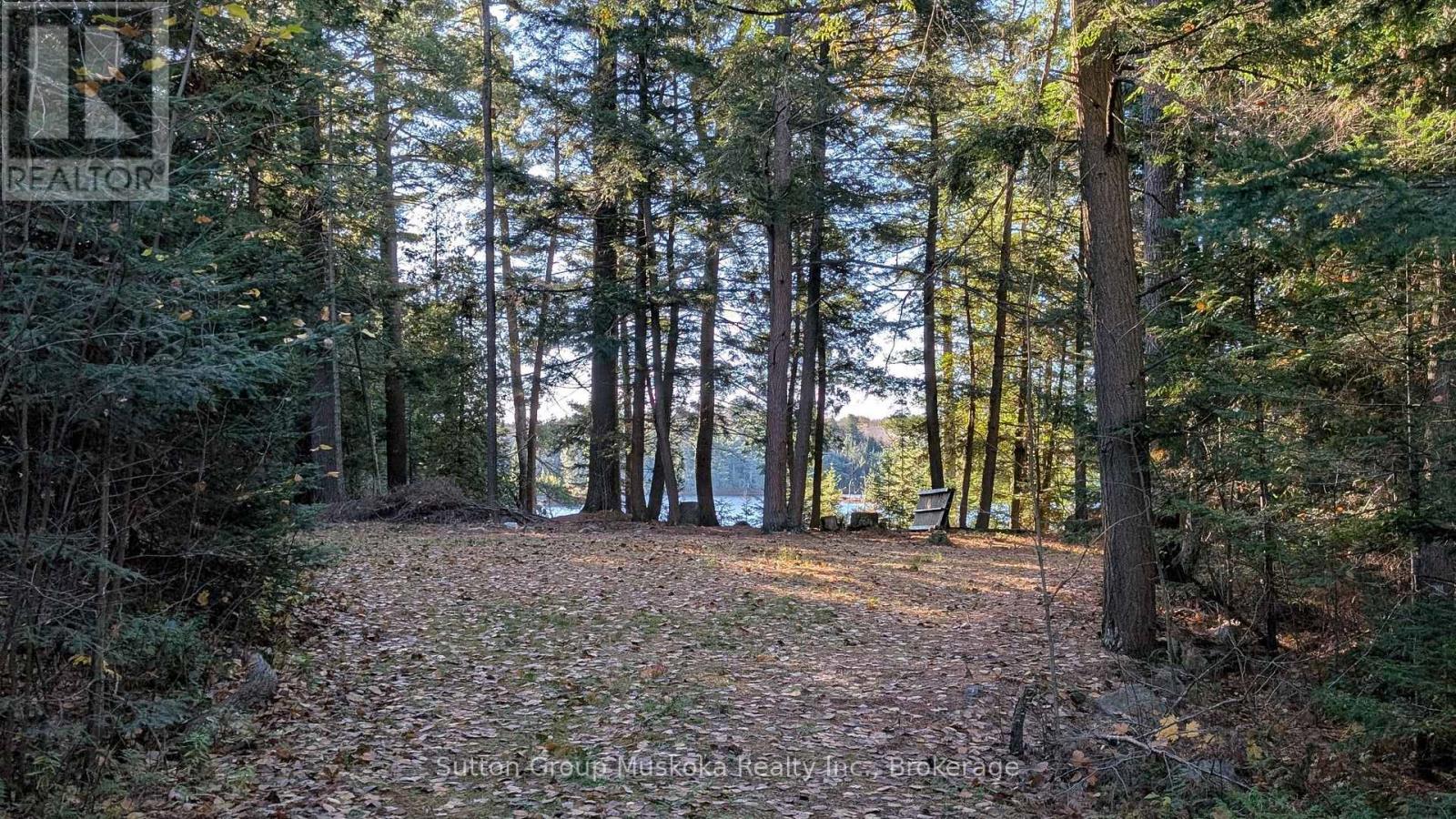 1448 Limberlost Road, Lake Of Bays, Ontario P0A 1H0 - Photo 9 - X14101818