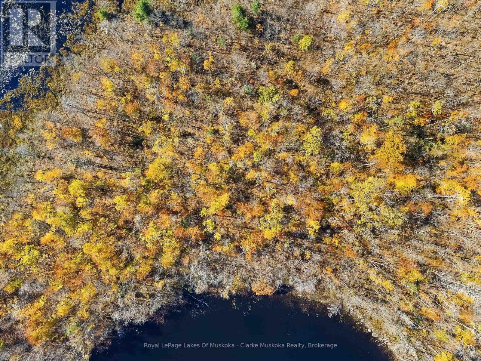 Lot 2 - 4805 Muskoka 169 Road, Muskoka Lakes, Ontario  P0B 1J0 - Photo 6 - X14108684